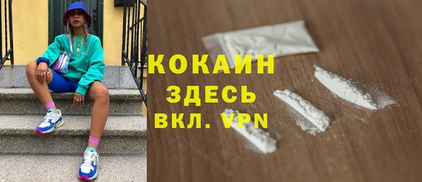 шишки Армянск