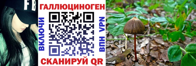 Псилоцибиновые грибы Magic Shrooms  Купить закладки  Аша 